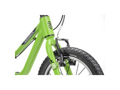 RIDGEBACK MX14 Kracking Kiwi click to zoom image