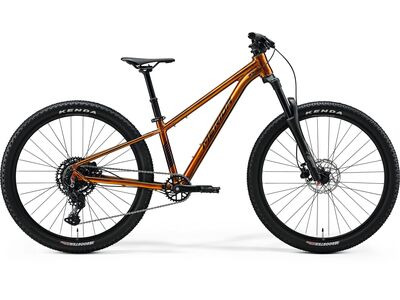 MERIDA Matts J.Champion