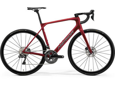 MERIDA Scultura Endurance Rival Edition
