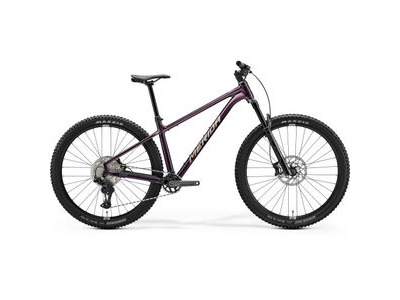 MERIDA Big Trail 600