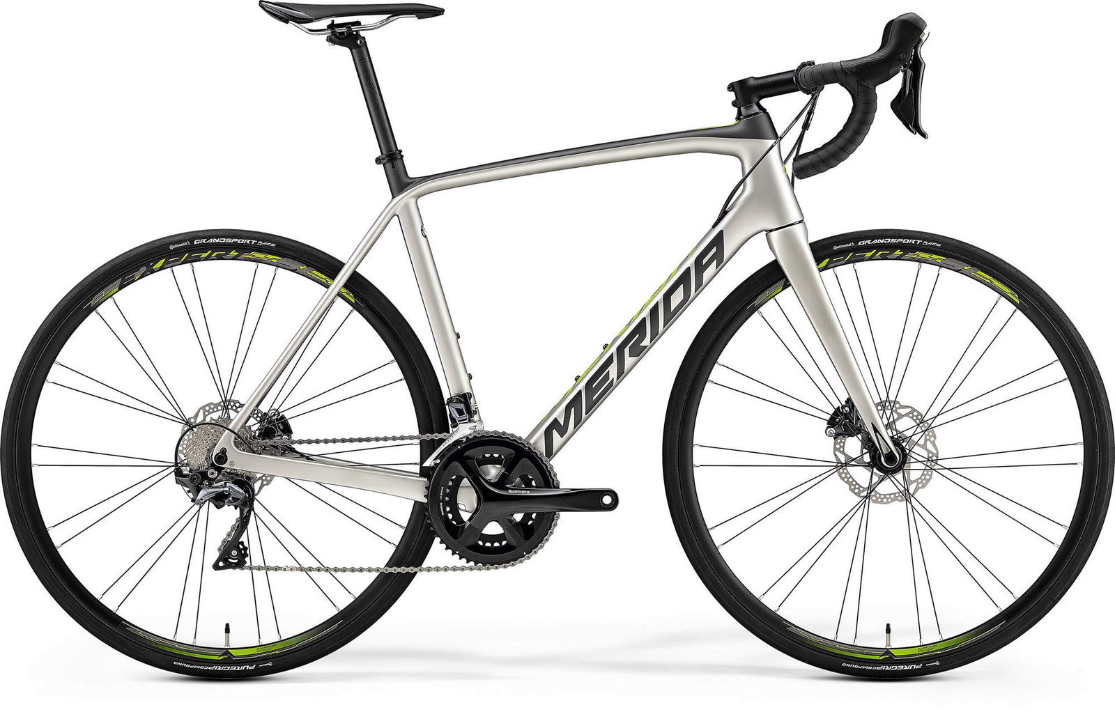 scultura cf2 disc