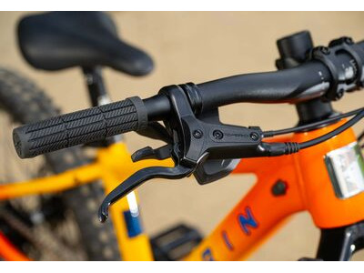 MARIN San Quentin Jr 20 click to zoom image